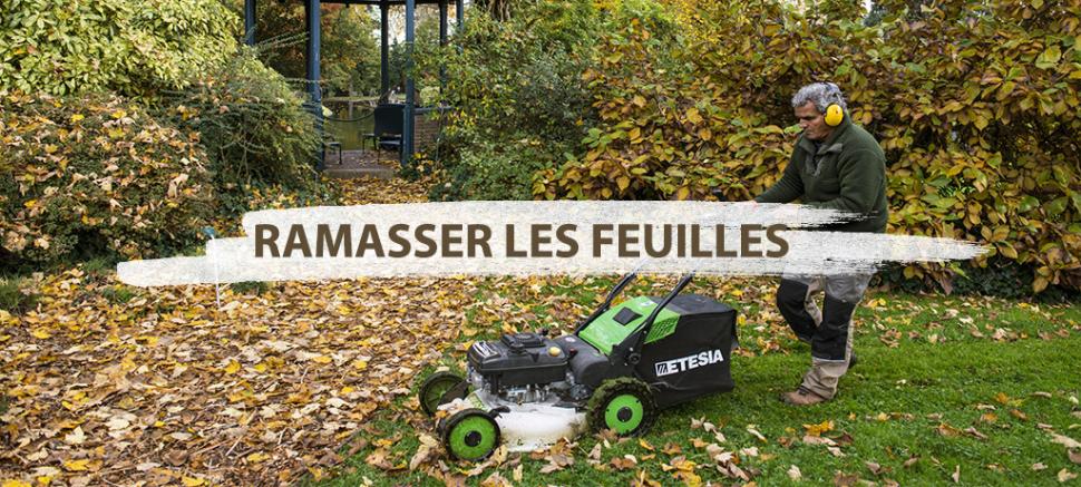 Ramasser les feuilles mortes sans peine : 3 solutions - L'Avenir